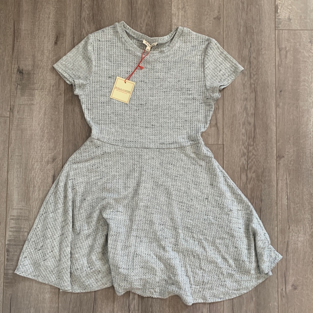 Gray Skater Dress